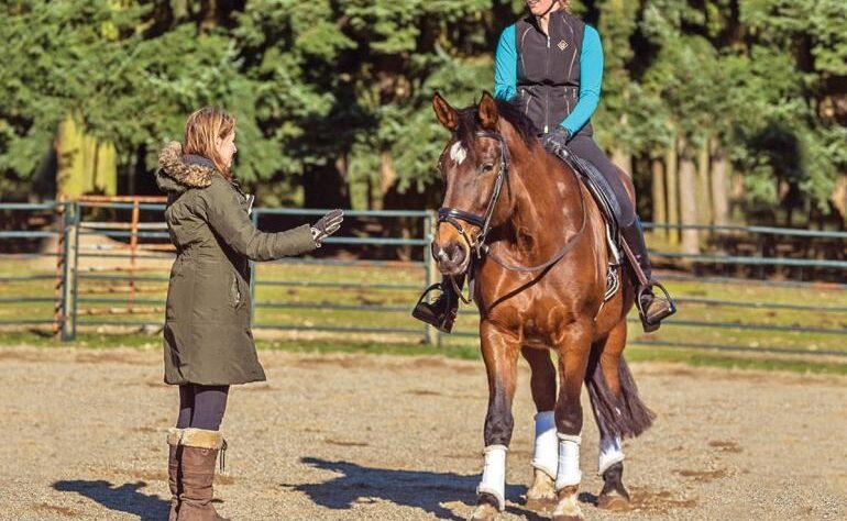 Horse Teaching