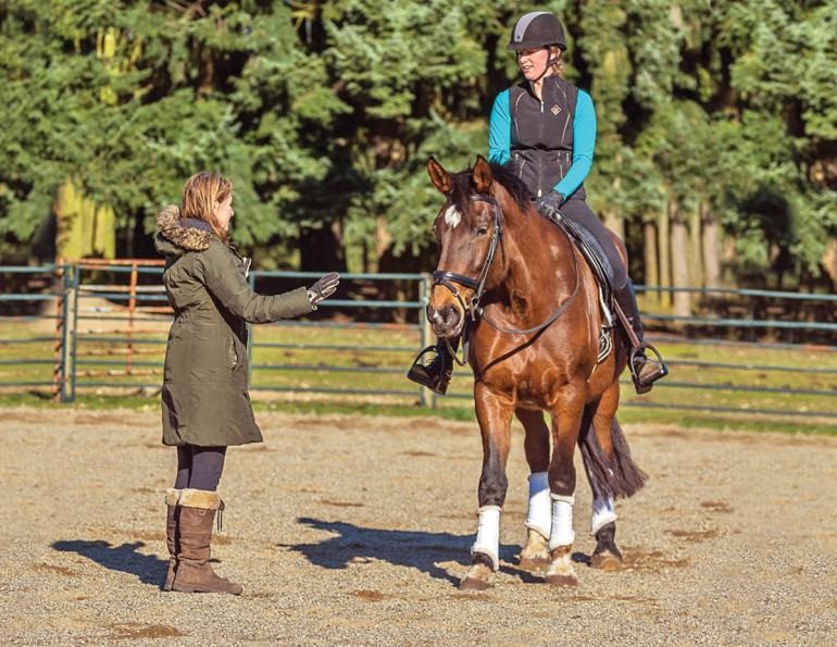 Horse Teaching