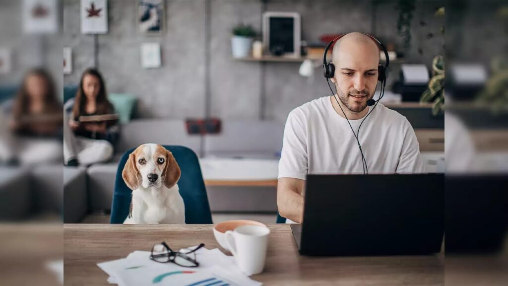 Best Careers for the Next 10 Years